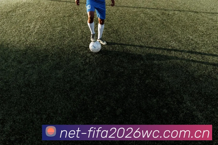 2026世界杯官方数据平台